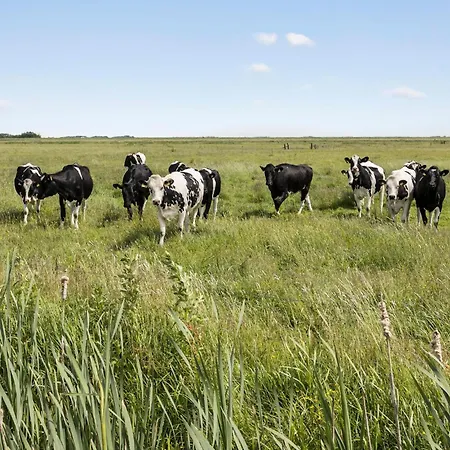 Semesterbostad Awesome In With Wifi *