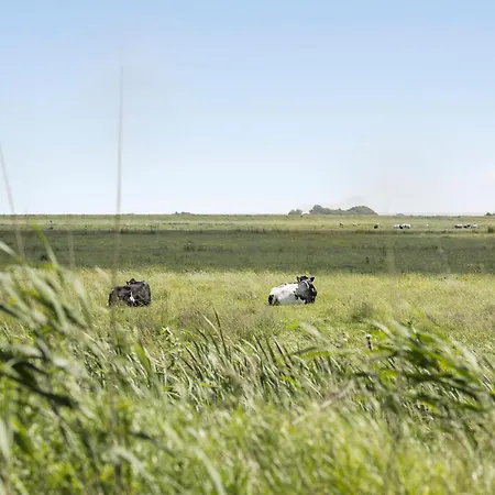 Semesterbostad Awesome In With Wifi